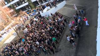 preview picture of video 'Flashmob 'ONE BILLION RISING' 2014 am TEB in Euskirchen'