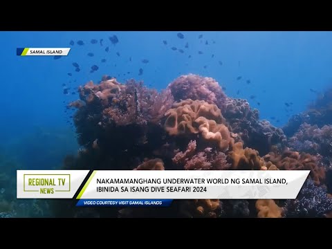 Regional TV News: Nakamamanghang underwater world ng Samal Island, ibinida sa Dive Seafari 2024