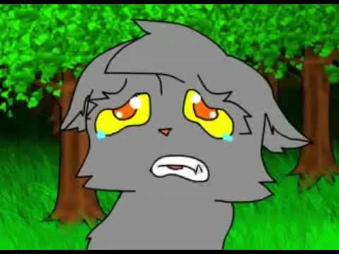 Saddam Hussein Iraq Cat