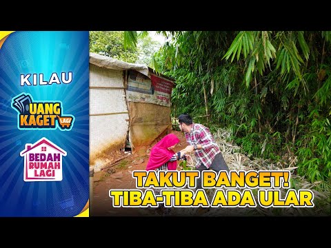 WADUH! Ada Ular Besar Banget!! | KILAU UANG KAGET & BEDAH RUMAH