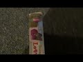 Barney Let S Play School 1999 VHS Review