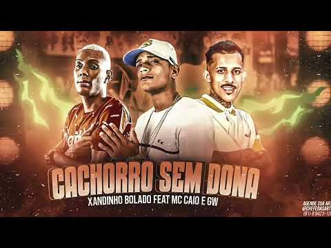 XANDINHO BOLADO FEAT MC CAIO E MC GW - CACHORRO SEM DONA ( REMIX BREGA FUNK )