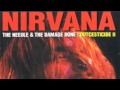 Nirvana - Outcesticide II: The Needle & the Damage ...