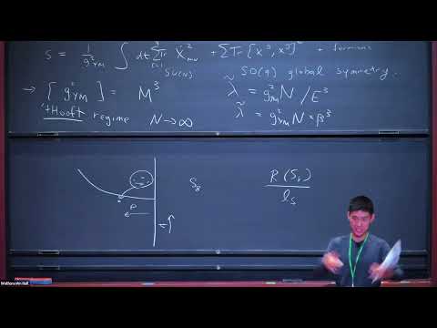 A Review of the BFSS Conjecture, Part 1