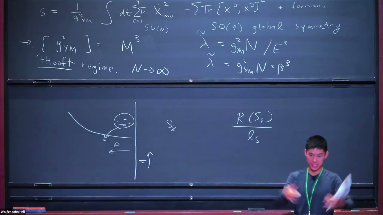 A Review of the BFSS Conjecture, Part 1