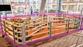 La Gara di Mini 4WD Più Pazza dell’Expo — E Ho Vinto!