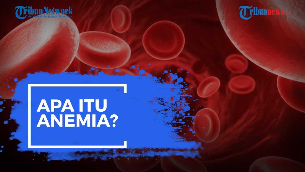 Apa Itu Anemia? Kenali Gejalanya dan Simak Penjelasan Berikut Ini