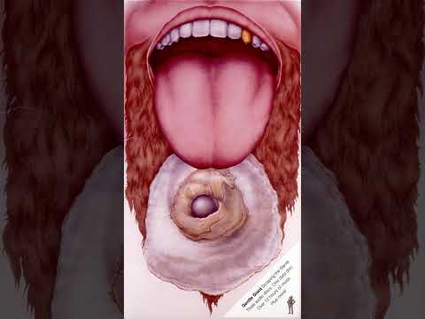 Gentle Giant- Scraping the Barrel 2004