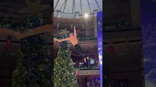 Only on Star Princess: Circus-Level Acrobatics at Sea #StarPrincess #CirqueDuo #CruiseCircus