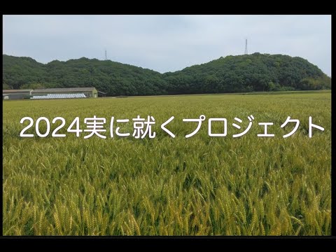 表現文化学科 【就実短期大学 生活実践科学科】2024年 実に就くプロジェクト「麦」