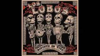 Los Lobos - Colas