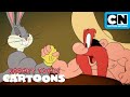Can They Beat Bugs Looney Tunes Cartoons Cartoon Network