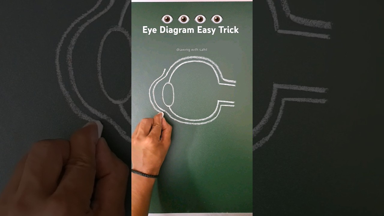 Eye diagram easy to draw | how to draw eye diagram easily #eye #diagram #shorts #shortsfeed