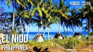 Plumeria Eco Resort, El Nido, Palawan [4K HDR] Walking Tour