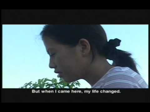 Disaster Relief  and Rehabilitation - Philippines