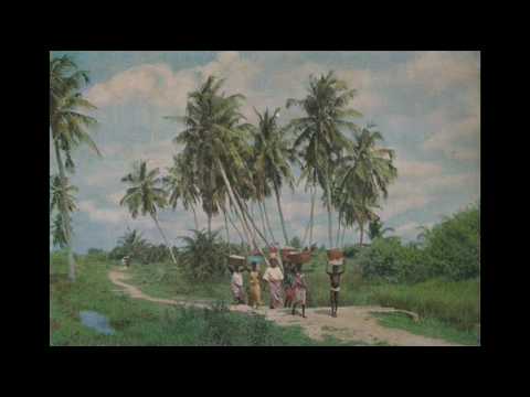 Ange Linaud et l'Orchestre Tembo - Antoine