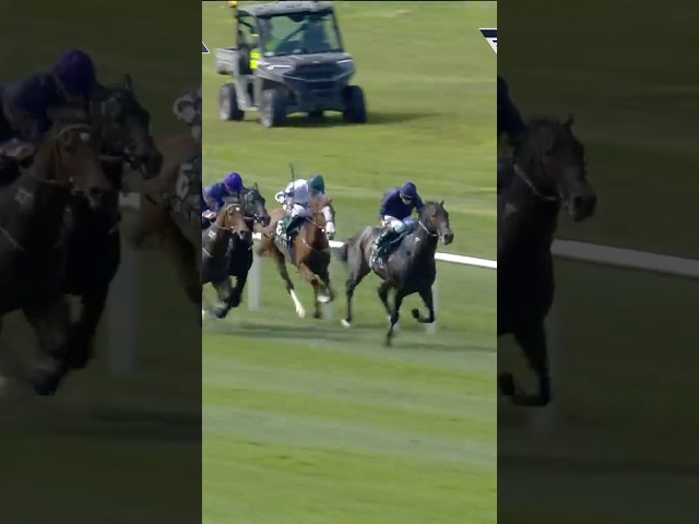 Thumbnail for Post ID: 7hLjsnl1vV8