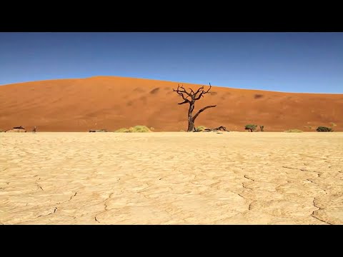 The Earth’s Furies: When Earth Will Be a Desert