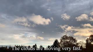 Vlog/オレゴン/犬の散歩/秋の風/Dog Walk