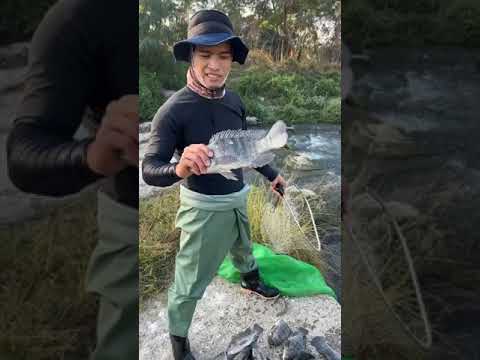 Amazing Cast Net Fishing Skill Catch Giant Fish -Awesome Traditional Net Fishing on The River Part10