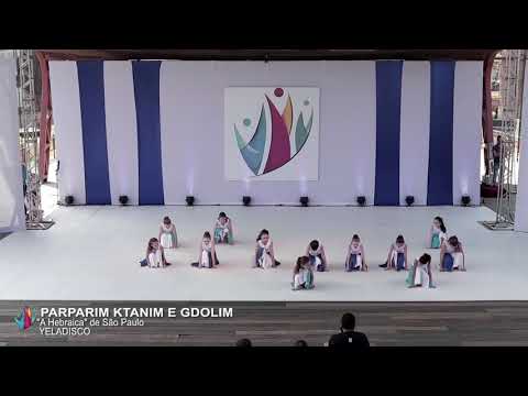 Lehakat Parparim Kitanim e Gdolim - YELADISCO - III Rikuday da CIP