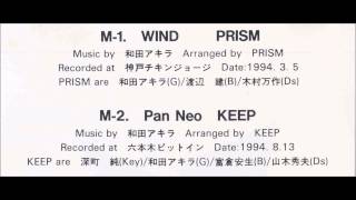 PRISM WIND 1994