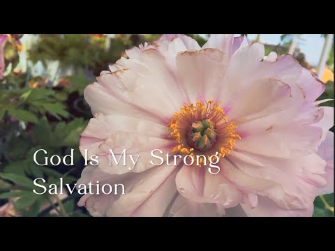 339 SDA Hymn - God Is My Strong Salvation (Singing w/ Lyrics)