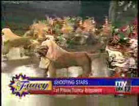 2008 Mummers Fancy: Shooting Stars