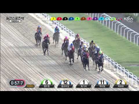 Ilgan Sports 2013 Gwanggyo Bisang