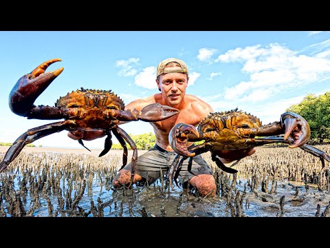 GIANT CRAB HUNT & Spearfishing WRECKS For Food