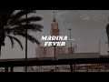 Madina Fever (Slowed +Reverb) By Siedd Vocals Only!