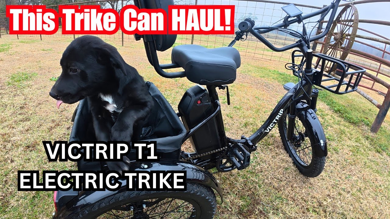 Victrip T1 Review: I Took This Trike to a Dog Rescue Farm!Then Donated It