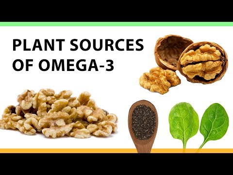 Plant Sources of Omega-3