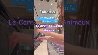 Download lagu 動物の謝肉祭の化石は、色んな曲のパロディが詰まっていて面白い！#ピアノ #piano #shorts mp3