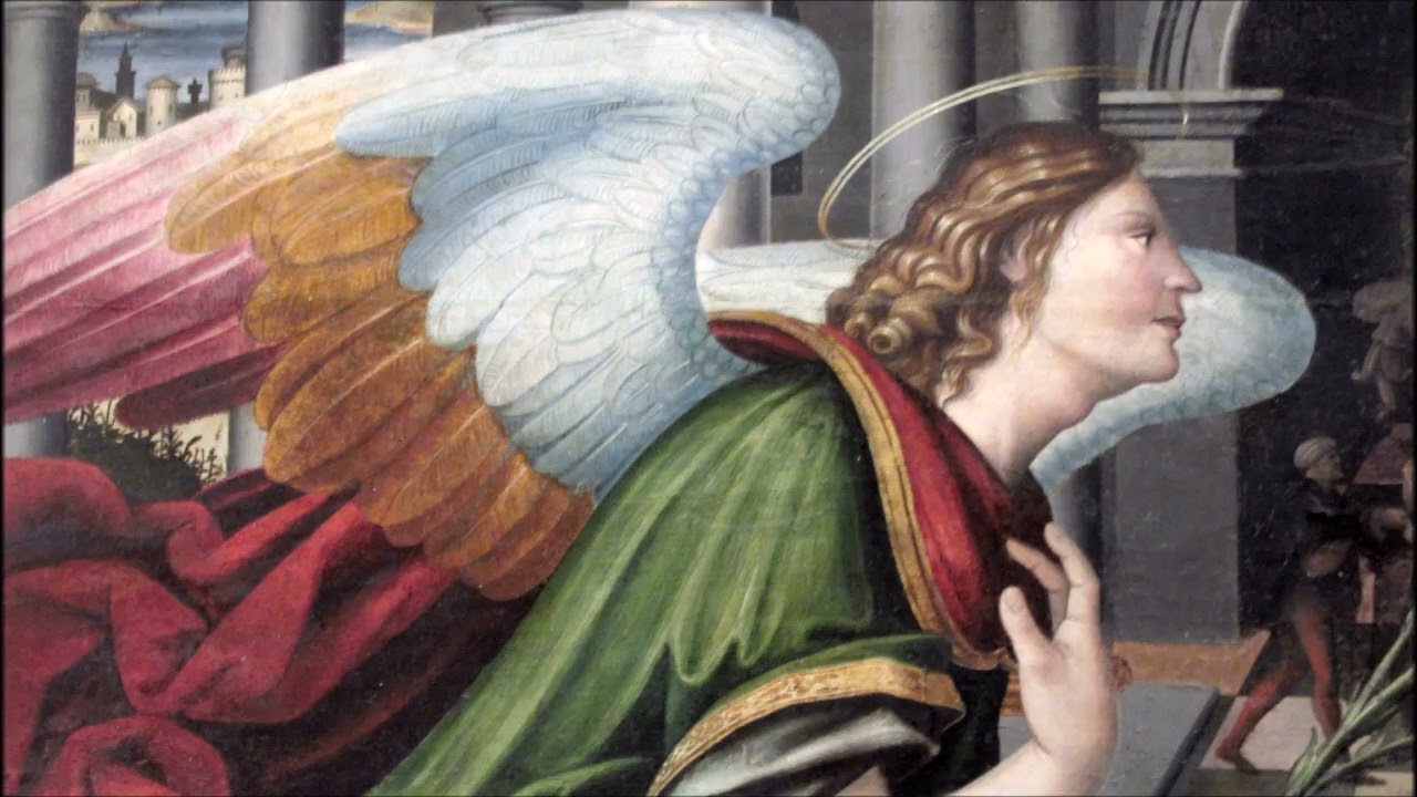 Immersive street-level walking tour through Urbino Ducal Palace, Italy, showcasing authentic urban landscapes, local architecture, and the vibrant atmosphere of the city's neighborhoods