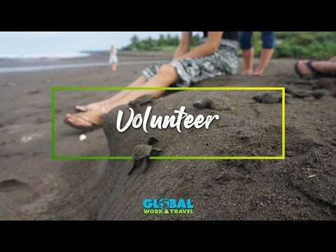 Volunteer with Sea Turtles in Costa Rica - Global Work & Travel