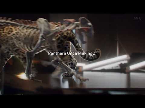 Jaguar breakdown By MPC