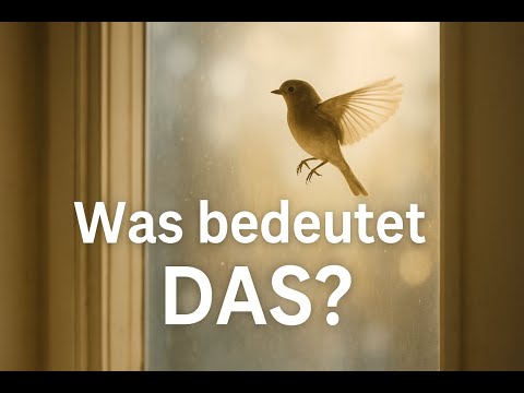 Spirituelle Bedeutung: Wenn ein Vogel gegen dein Fenster fliegt