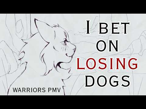 I Bet On Losing Dogs // Warrior Cats PMV