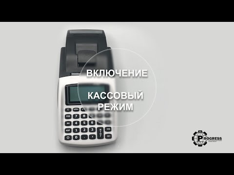 Включение. Кассовый режим. Daisy eXpert SX ONLINE. Инструкция пользователя