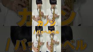 Download lagu 【クラシック音楽】カノン / J.パッヘルベル【毎日サックスVlog】 mp3