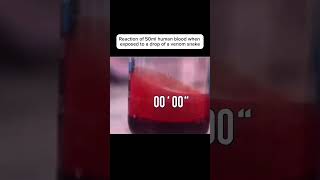 What Happens When Blood Meets Snake Venom? 🐍🩸 [NatGeo Reaction Explained] #science #experiment