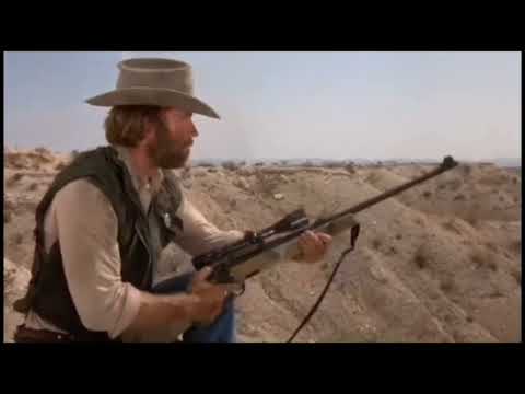 Chuck Norris found Joe Biden... again