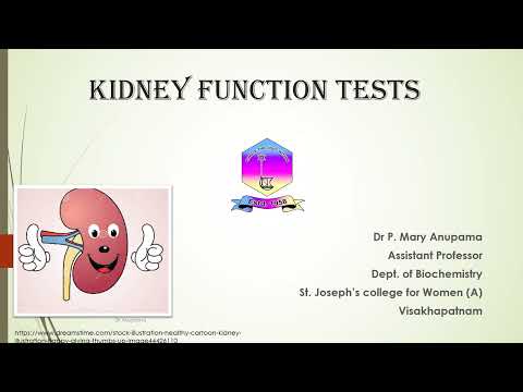 Kidney Function Tests