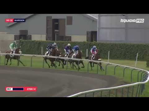 Linnova 03 08 2020 Waregem