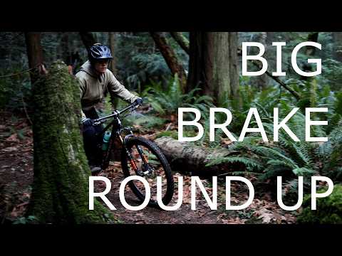 Mega Brake Review - 5 Brakes - 3 Riders - Maven vs. Lewis vs. Shimano vs. Hayes vs. Formula