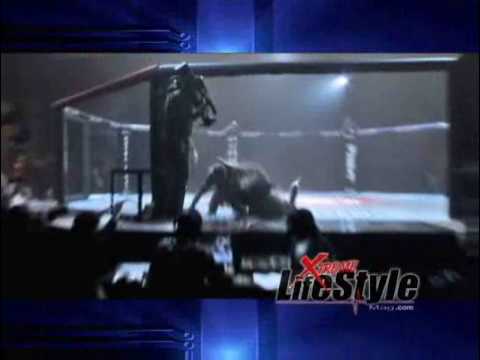 THE BIGGEST HITS and KICKS FROM XMMA 6 - Highlights - XLMAG.TV