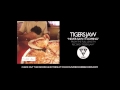 Tigers Jaw - Never Saw It Coming (Official Audio)