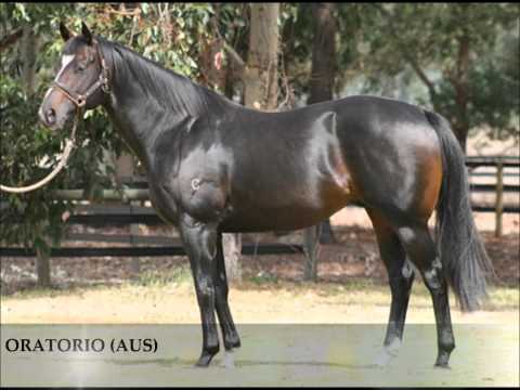 DICK TURPIN RACEHORSE - GR1 CHANTILLY PRIX JEAN PRAT WINNER