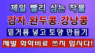 [텃밭농부. 1,342]  감자. 완두콩. 강낭콩 밭에 밑거름 넣고 토양 만들기 #감자재배 #강낭콩재배 #완…